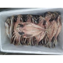 �I�����_�Y�����i��j�h�p�e(180/220�E40�^��)