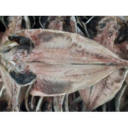 �I�����_�Y�����i��j�h�p�e((180/220�E40�^��))