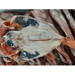 �{��Y���ڑ�J���i��j