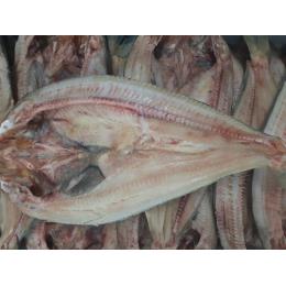 �k�C���Y�@�^�ق����J���@IQF