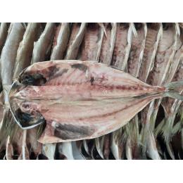 ���Y�^�����J��IQF�@120/150�@40������((120/150�@40������E1�^C/S))