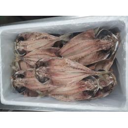 �I�����_�Y�@�����J���@IQF�@220/250���@30������