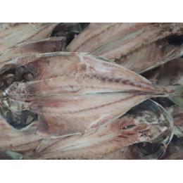 �I�����_�Y�@�����J���@IQF�@220/250���@30������((220/250�@30������E1�^C/S))