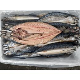 �m���E�F�[�Y���΂̊J��IQF�@300/400g�@30������