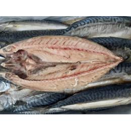 �m���E�F�[�Y���΂̊J��IQF�@300/400g�@30������((300/400g�@30������E1�^C/S))