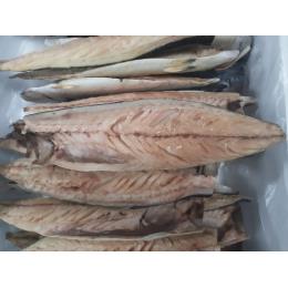 �m���E�F�[�Y���΃t�B��IQF((110/140g�@40������E1�^C/S))