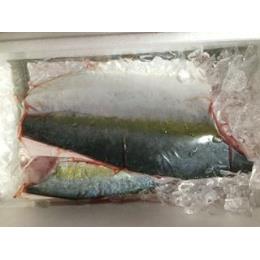 高知県宿毛　養殖）チルド・カマ付・ブリ　フィレ