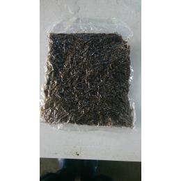 三重県鳥羽　きざみメカブ（冷凍・500ｇ/ｐ）