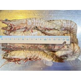 兵庫県　明石　冷凍）足赤エビ　300ｇ/ｐｃ