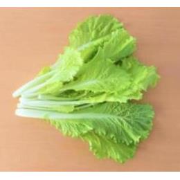 �L�@JAS�R���؁@�o��