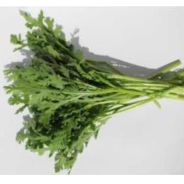 �L�@JAS�t�e�@�o��