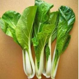 �L�@JAS�~�j�p�N�`���C �o��