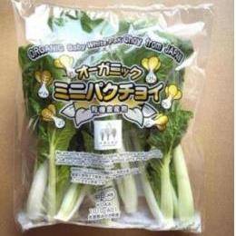 �L�@JAS�~�j�p�N�`���C 120g