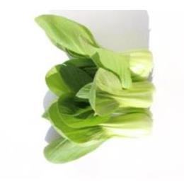 �L�@JAS�~�j�`���Q���؁@�o��(�o���E100�^g)