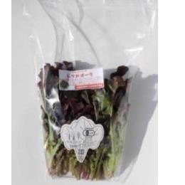 �L�@JAS���b�h�I�[�N 80g(80g�܁E1�^��)