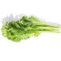 �L�@JAS�O���[���}�X�^�[�h �o��(�o���E100�^g)