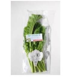 �L�@JAS�O���[���}�X�^�[�h 50g