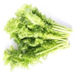 有機JASわさび菜 バラ