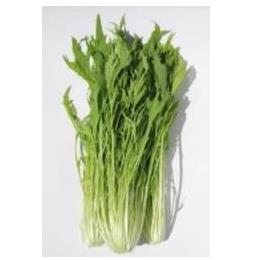 �L�@JAS���� �o��