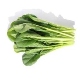 �L�@JAS�����؁@�o��(�o���E100�^g)