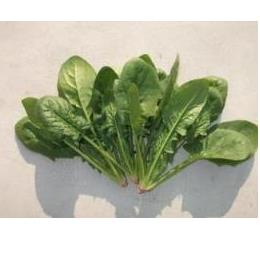 �L�@JAS�ق���� �o��(�o���E100�^g)