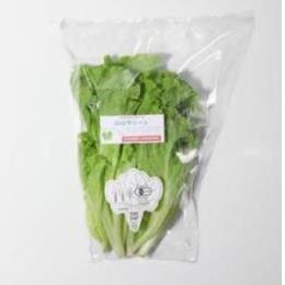 �L�@JAS�����O���[���@80g(80g�E1�^��)