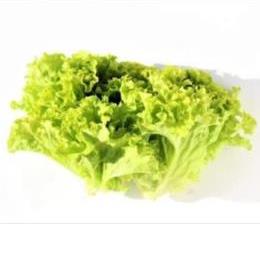 �L�@JAS�����O���[���@�o��