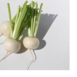 �L�@JAS�R�J�u �o��(�o���E100�^g)