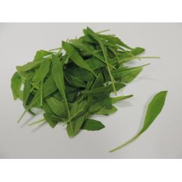 壬生菜