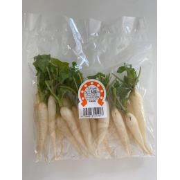 ミニ大根　5本入り