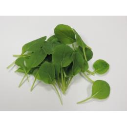 タットソル　500ｇ