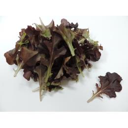 レッドオーク　500ｇ