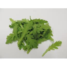 菊菜　500ｇ