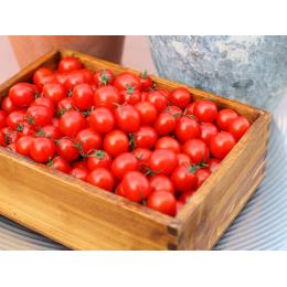 高糖度　ミニトマト　3ｋｇ