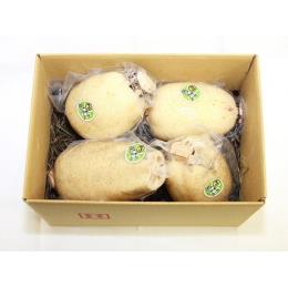Bigれんこん珠美お試しセット１kg