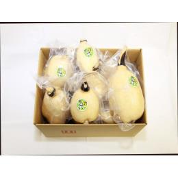 Bigれんこん珠美1節目2kg