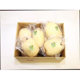 Bigれんこん珠美2節目2kg