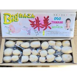 Bigれんこん珠美贈答用　末っ子真空パック2kg