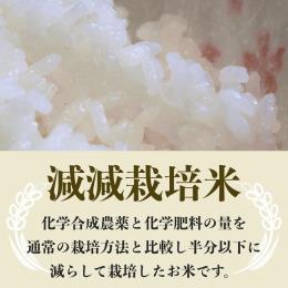 �V���c�s������Y�R�V�q�J��((1�E2�^kg))