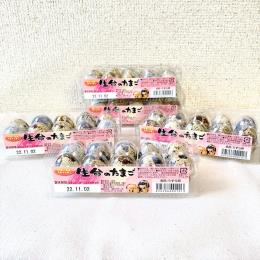 �L���Y ������̗� 10���� 10�p�b�N�@100�P�[�X