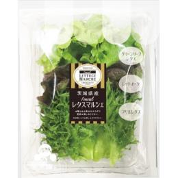 【大人気】レタスマルシェ