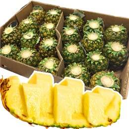 業務用甘熟王パイン　葉無し　20玉　フィリピン産　小玉
