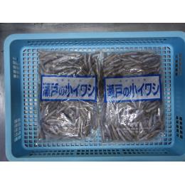 瀬戸の小イワシ