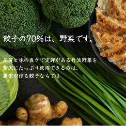 農家が作る野菜しい餃子