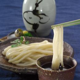 讃匠 冷凍 生うどん250gx40p Btob Esmart 業務用食材や備品 資材をカンタン購入 まとめ払い