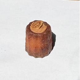 �Ɩ��p�O���e���t���[�J�k���@���������V�i����((18����E1�^PC))