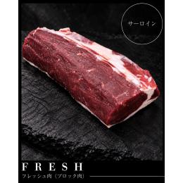 �t���b�V���G�]�����i�T�[���C���j