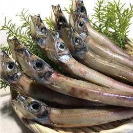 【干物】めぎす丸干し