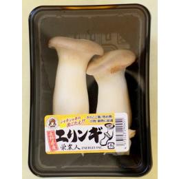 エリンギ100g
