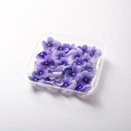 �G�f�B�u���t�����[SANOKA�@�r�I���@�N���A���C�g�u���[((20�ցE1�^PC))